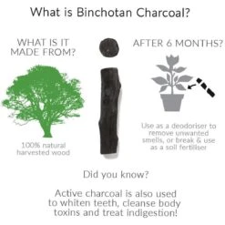 Black + Blum Binchotan Active Charcoal For Eau Good Water Bottles 4-pack -Heng Kookserie Winkel 1200x1200 168