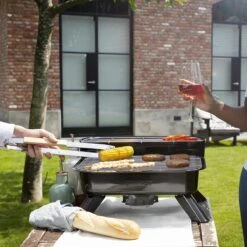 Princess 112252 Hybride Barbecue – Elektrische BBQ - Tafelmodel - 2000W - 44x 29cm - Gebruik Elektrisch Of Met Kolen -Heng Kookserie Winkel 1200x1200 307