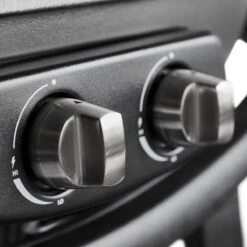 Burnhard Draagbare 2-Branders Gasbarbecue - Afdekhoes - BBQ Wayne -Heng Kookserie Winkel 1200x1200 385