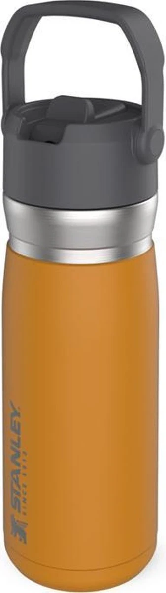 Stanley The IceFlow™ Flip Straw Water Bottle 0,65L - Thermosfles - Saffron Stanley The IceFlow™ Flip Straw Water Bottle 0,65L - Thermosfles - Saffron -Heng Kookserie Winkel