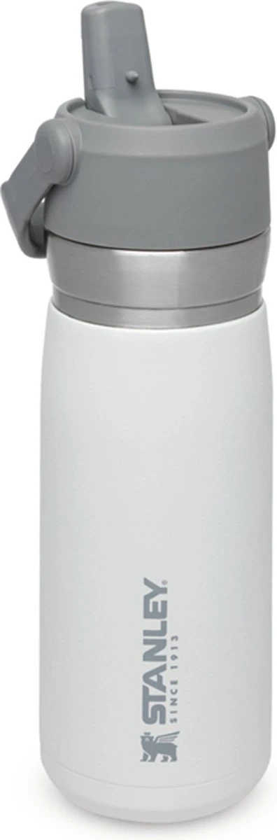 Stanley The IceFlow™ Flip Straw Water Bottle 0,65L - Thermosfles - Saffron Stanley The IceFlow™ Flip Straw Water Bottle 0,65L - Thermosfles - Saffron -Heng Kookserie Winkel