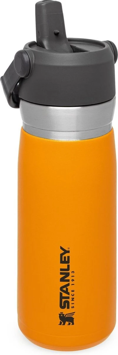 Stanley The IceFlow™ Flip Straw Water Bottle 0,65L - Thermosfles - Saffron Stanley The IceFlow™ Flip Straw Water Bottle 0,65L - Thermosfles - Saffron -Heng Kookserie Winkel